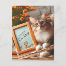 Zoek naar kat briefkaarten Feliene