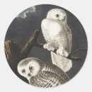Zoek naar vintage kunst stickers Donkere academische esthetiek