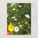 Zoek naar engelse bloemen briefkaarten Huisje