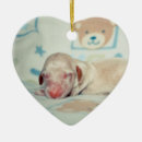 Zoek naar dachshund kerstdecoratie Wiener hond