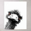 Zoek naar emoe posters Vogel