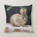 Zoek naar hazen kussens Bunny