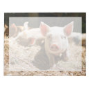 Zoek naar varkens notitieblokken Biggen