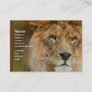 Zoek naar lion visitekaartjes Dier