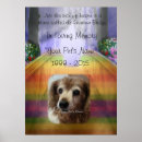 Zoek naar pet memorial posters Thuis