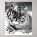 Zoek naar tijger ogen posters Oerwoud