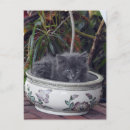 Zoek naar sherlock briefkaarten Katten
