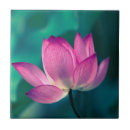 Zoek naar lotus tegels Plant