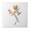 Zoek naar paradijsvogel tegels Waterverf