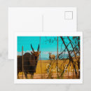 Zoek naar eland briefkaarten Afrika