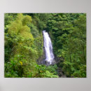 Zoek naar tropical island kunst Travel