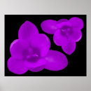 Zoek naar krokussen posters Floraal