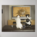 Zoek naar tv kunst Humor