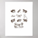 Zoek naar slak kunst Kikker
