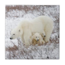 Zoek naar kubus tegels Baby