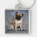 Zoek naar schattige pug sleutelhangers Honden