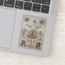 Zoek naar kwallen stickers Zee leven