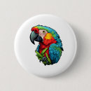 Zoek naar papegaai buttons Vogel