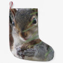 Zoek naar eekhoorn kerstsokken Schattig