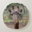 Zoek naar giraffes kussens Wild