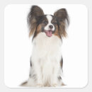 Zoek naar papillon hond stickers Puppies