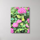 Zoek naar hortensia kunst Roze