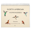 Zoek naar roofvogels kalenders Kolibrie