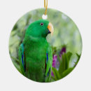 Zoek naar parrot ornamenten Groen