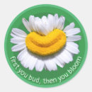 Zoek naar wijsheid stickers Groen
