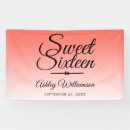 Zoek naar sweet 16 birthday spandoeken Zoete zestien