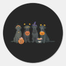 Zoek naar kaarslicht stickers Skelet dans