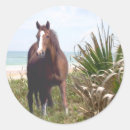 Zoek naar krat stickers Paarden