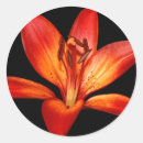 Zoek naar graan stickers Floreel