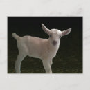Zoek naar newborn briefkaarten Natuur