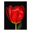 Zoek naar macro kunst Mooi