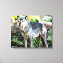 Zoek naar wolven canvas prints Honden