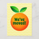 Zoek naar kikker cartoon briefkaarten Voor iedereen