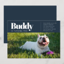 Zoek naar puppy party uitnodigingen Foto