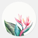 Zoek naar paradijsvogel stickers Waterverf