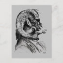 Zoek naar sheep briefkaarten Steampunk