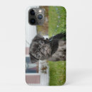 Zoek naar pug hond iphone hoesjes Zwart