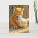 Zoek naar knuffel kaarten Elk persoon