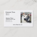 Zoek naar husky visitekaartjes Puppies