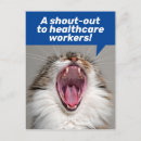 Zoek naar de schreeuw kaarten Kat