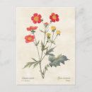 Zoek naar botanische illustratie briefkaarten Elk persoon