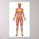 Zoek naar pes posters Kunstwerk