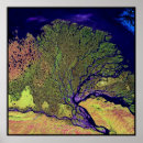 Zoek naar lena posters Landsat