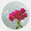 Zoek naar geranium stickers Pretty