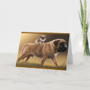 Zoek naar pekinese kaarten Pekinees