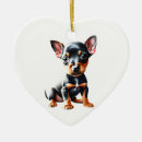 Zoek naar miniature pinscher ornamenten Voor iedereen